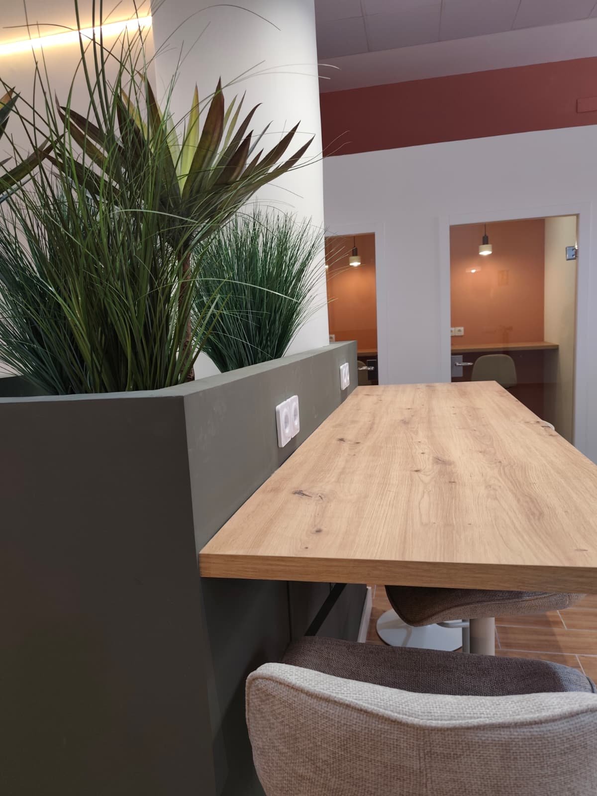 Barra de trabajo con plantas decorativas