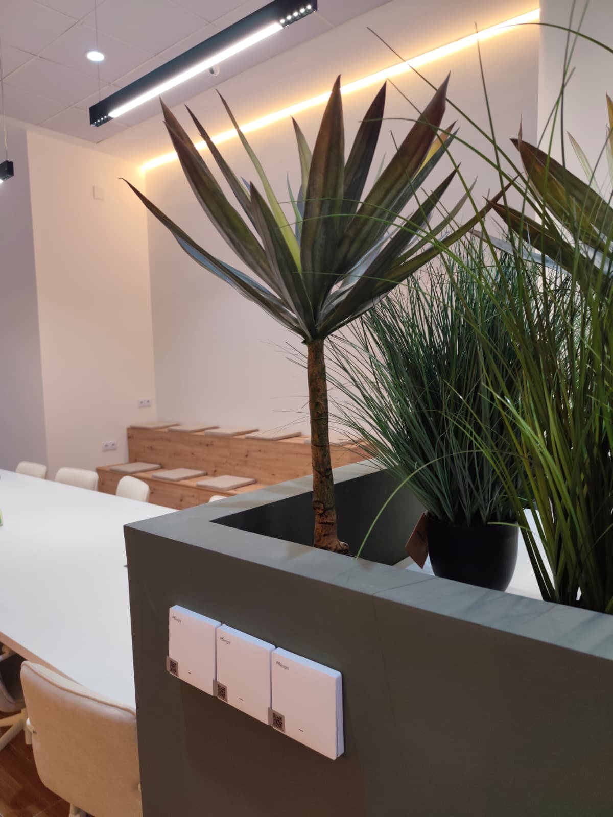 Plantas y grada al fondo